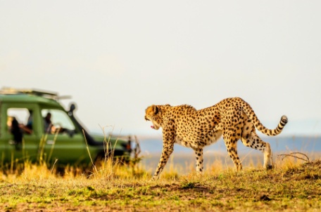 Memorias de África Aventura I