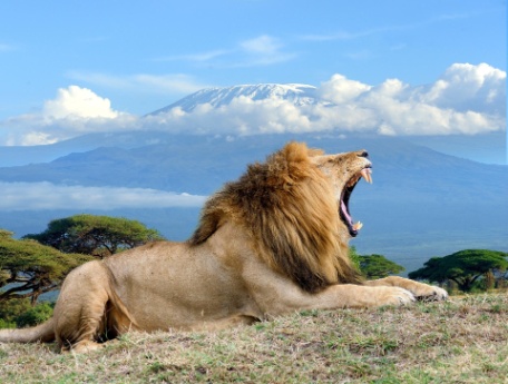 Kenia, más allá de los tópicos