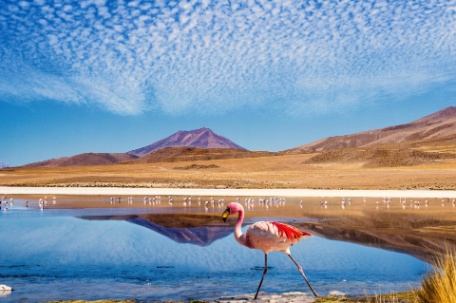 Argentina, Bolivia y Chile. Entre desiertos, montañas y lagunas de colores