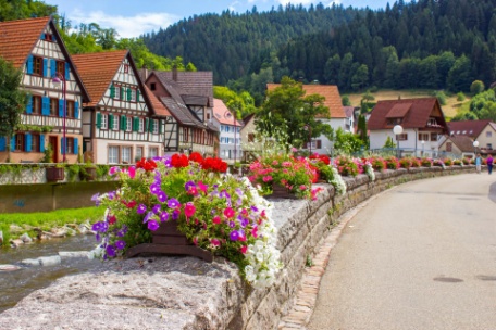 Valle del Rhin, Ruta Romántica, Selva Negra y Alsacia