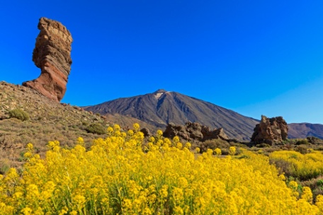 Ruta naturalista por Tenerife y La Gomera