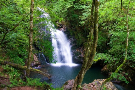 Valle de Baztán y Selva de Irati. Naturaleza y tradición en estado puro