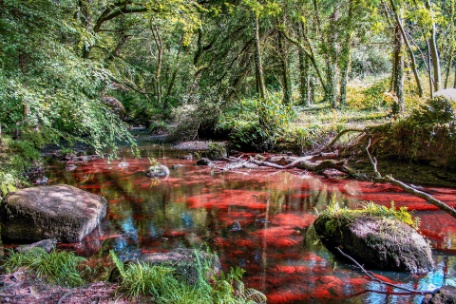 Francia. Bretaña y Normandía: naturaleza y cultura en el Finisterre francés