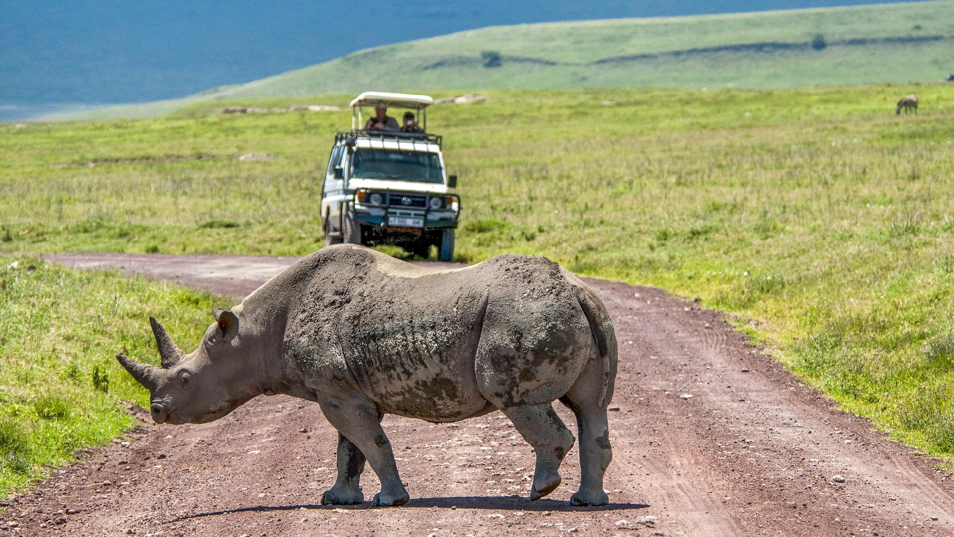 tanzania-ngorongoro-4