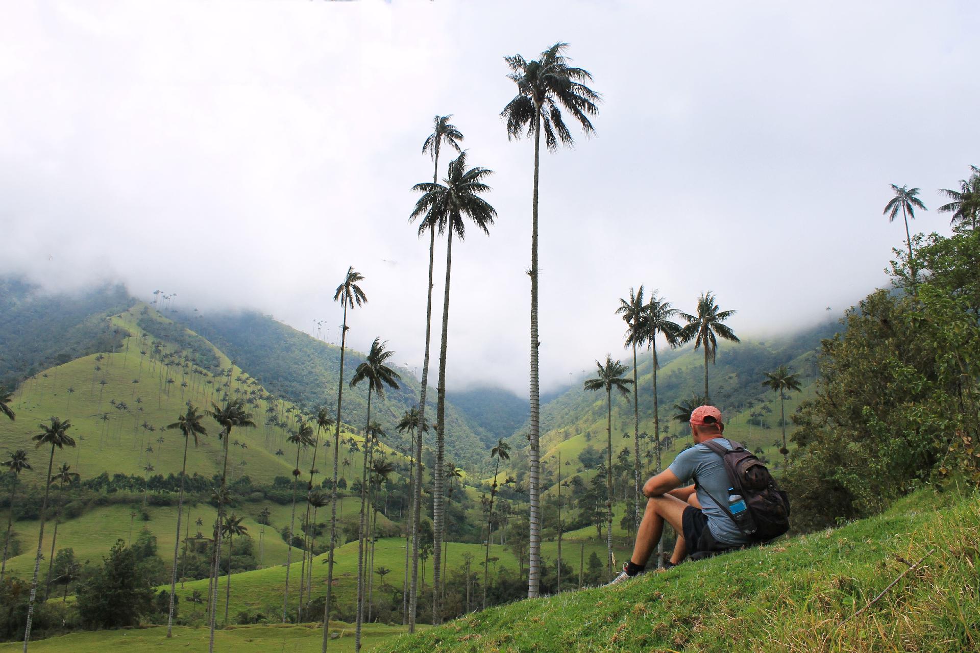 colombia-eje-cafetero-valle-de-cocora-1