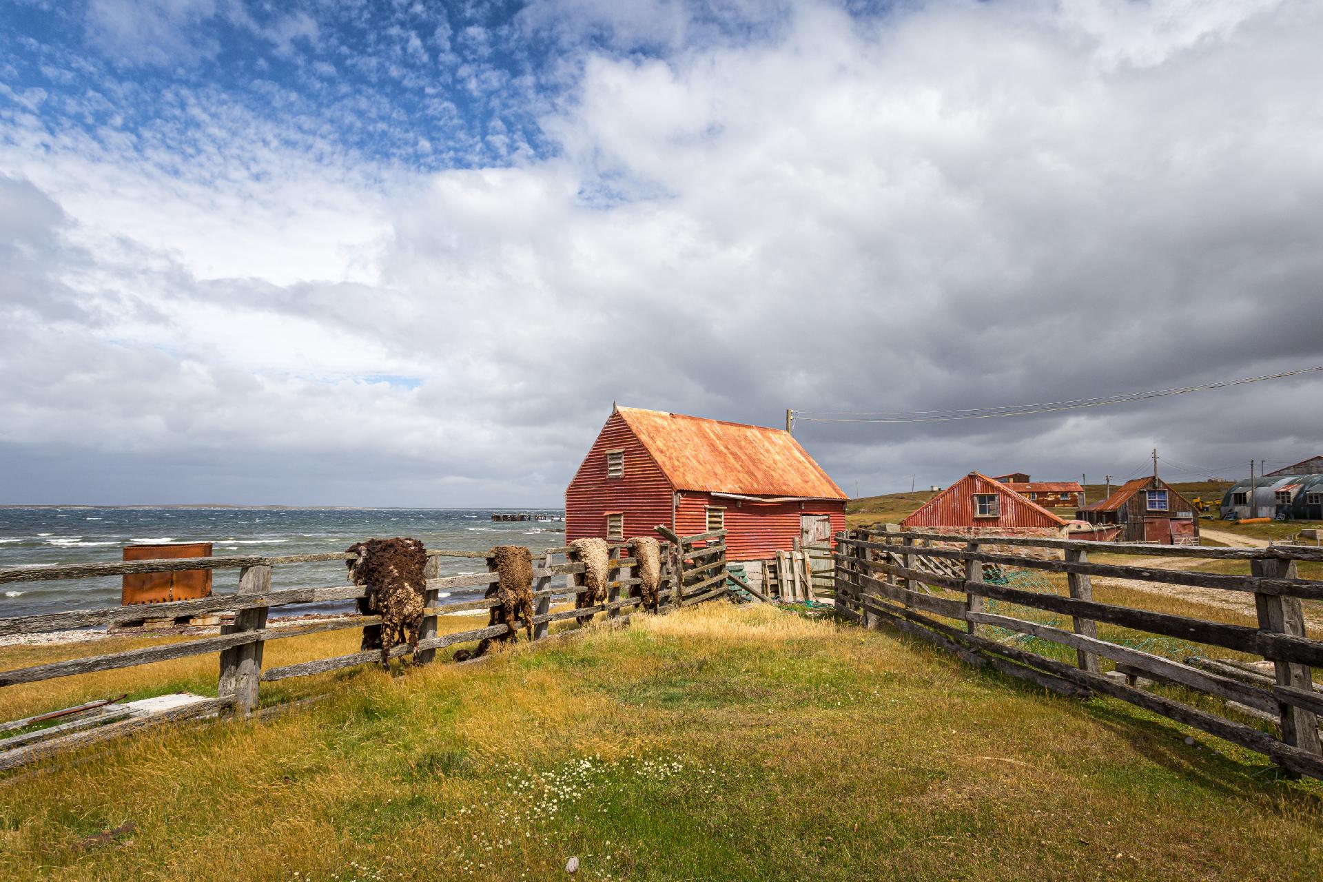 islas-malvinas-2